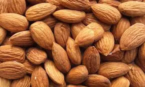 Gilgit Baltistan almonds (Badam), natural organic dry fruits from Pakistan