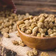 Sahtoot from Gilgit Baltistan fresh and organic mulberries
